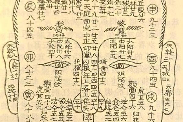 面相成熟揭秘：揭秘影响面相成熟的五大关键因素