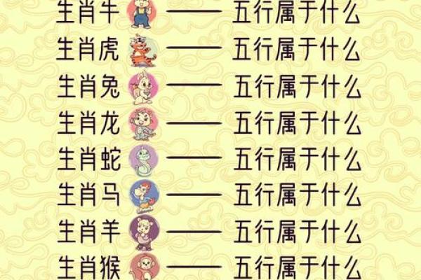 项字五行属性揭秘