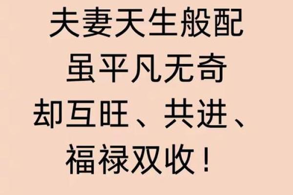 猪男蛇女天生一对，揭秘绝配秘籍