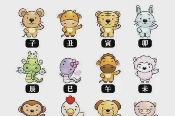 2019年生肖运势盘点：每月运势大揭秘