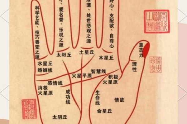 手相奥秘：揭秘支气管扩张纹，掌握健康脉动密码