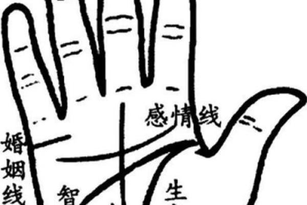 手相奥秘：揭秘支气管扩张纹，掌握健康脉动密码