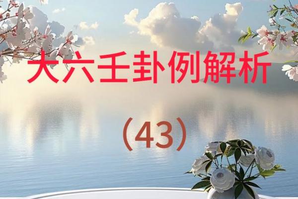六壬神课排盘软件深度解析，揭开命运之谜