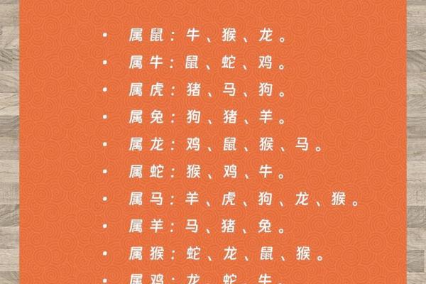 饿什么生肖？揭秘十二生肖饮食习惯大揭秘