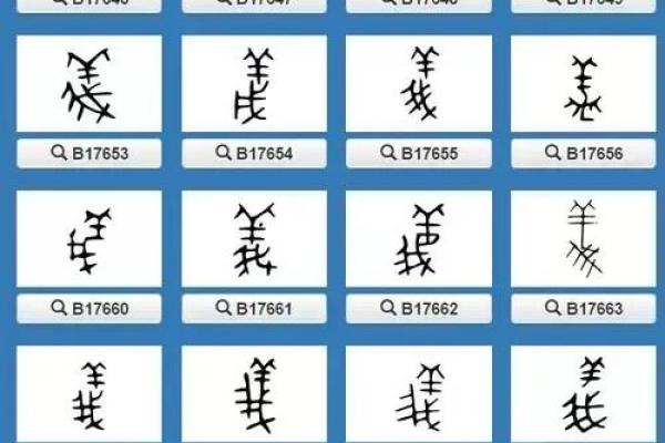 义字五行属性揭秘
