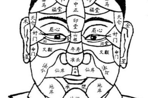 面相揭秘：全面解锁五官密码，识人辨性
