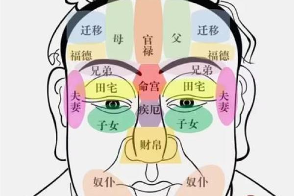 面相揭秘：全面解锁五官密码，识人辨性