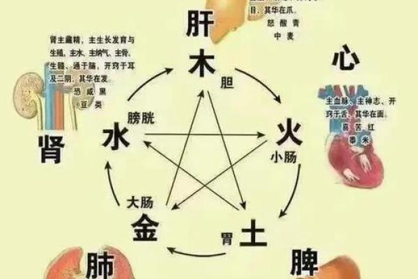 天干地支与八卦合一，探索中国古代智慧的奇妙搭配