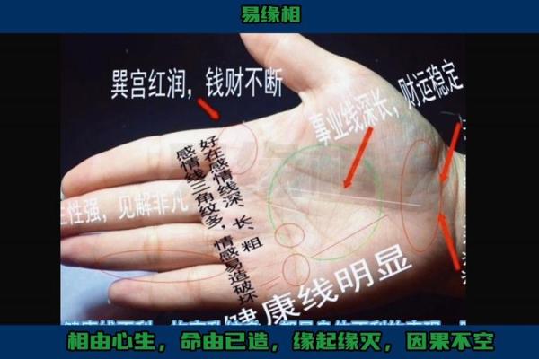 女董事掌中藏富贵，揭秘手相密码解锁人生巅峰