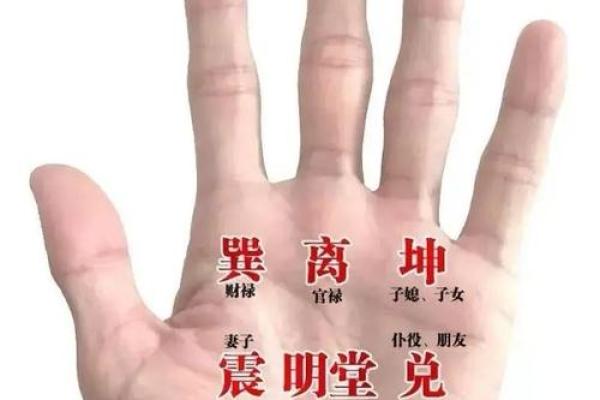 井字纹掌心揭秘：财运亨通的秘密手相