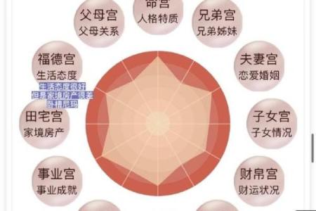 免费紫微排盘详批，精准揭示你和伴侣的婚姻命运