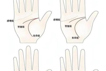 手相揭秘：智慧线长短影响命运，一招教你读懂未来