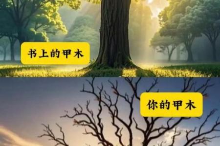 天干气象大揭秘：了解天干如何影响我们的命运