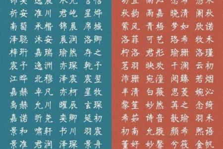 男孩起名必选的十个寓意深远的字