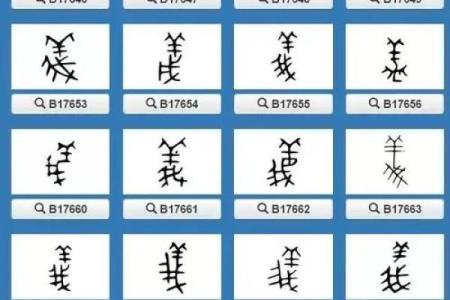 义字五行属性揭秘