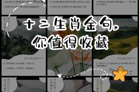 十二生肖大比拼：机智生肖谁是冠军？