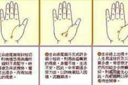 手相揭秘：一招看穿男女，揭秘你的命运密码