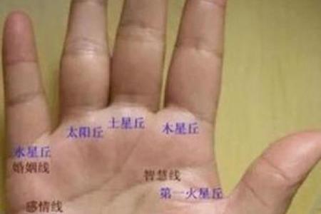 女董事掌中藏富贵，揭秘手相密码解锁人生巅峰