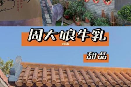 深藏不露，生肖深探奇遇记