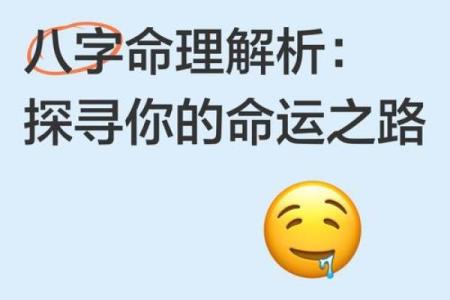 八字命理分析：精准解读你的命运密码