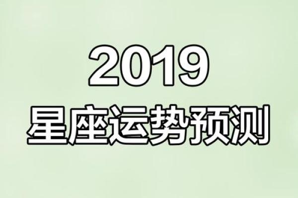 新历十一月星座揭秘：揭秘你的专属运势与魅力