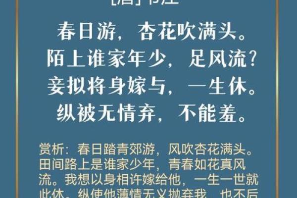 红杏出墙，生肖揭秘：谁是你命中注定的另一半？