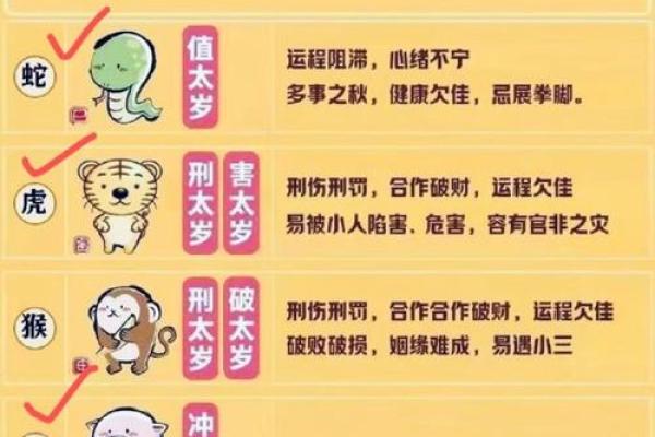 揭秘姓氏风水密码：姓氏如何影响你的运势？