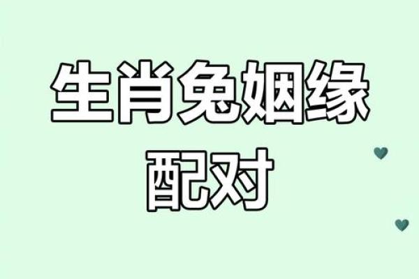 兔男龙女缘定三生？生肖配对大揭秘