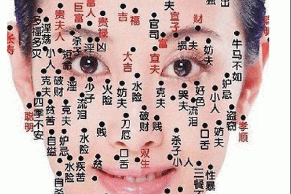 痣相揭秘：科学角度揭秘面相中的神秘密码