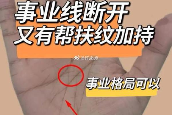揭秘手相纹线乱象，看透命运之谜