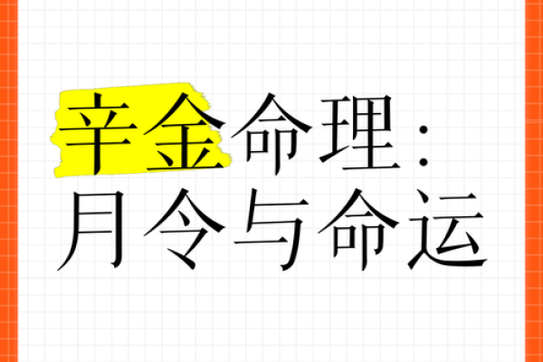 辛金命理深度解析：掌握你的命运密码