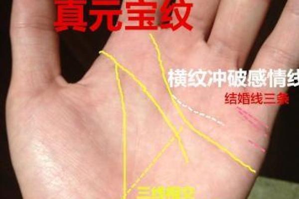 九命猫人手相揭秘：掌握命运，解锁人生秘密