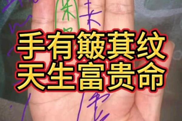 棺材纹手相揭秘：葬爱之人的命运密码