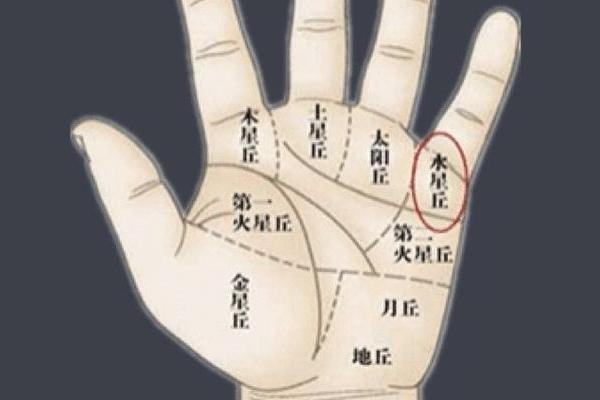 棺材纹手相揭秘：葬爱之人的命运密码