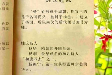 为什么越来越多的家长选择给孩子取名杨起？