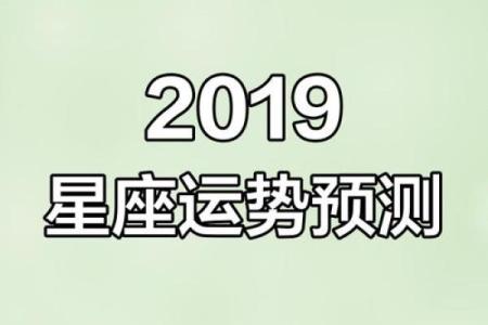 新历十一月星座揭秘：揭秘你的专属运势与魅力