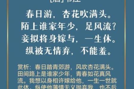 红杏出墙，生肖揭秘：谁是你命中注定的另一半？