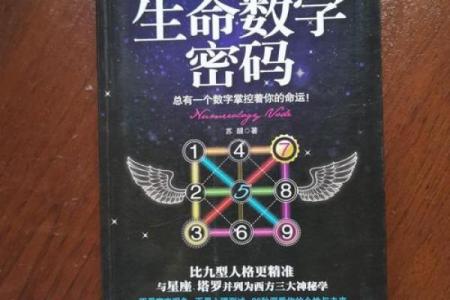 朱玲玲命理解析：她的命运密码是什么