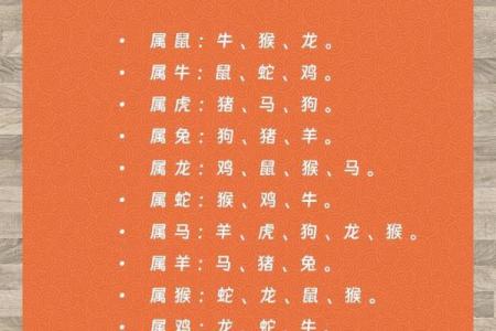揭秘：差与生肖之间的神奇联系