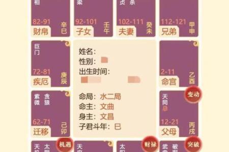 掌握命理排盘分析，精准预测未来发展