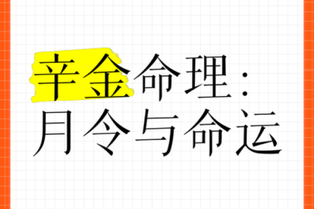 辛金命理深度解析：掌握你的命运密码