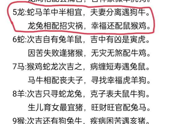 六二年生肖揭秘：揭秘你的属相命运之谜