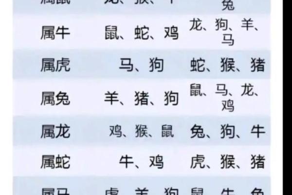 六二年生肖揭秘：揭秘你的属相命运之谜
