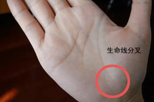 手相揭秘：生命线长痣，暗示着你拥有怎样的命运秘密？
