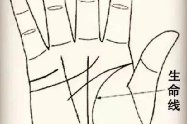手相揭秘：生命线长痣，暗示着你拥有怎样的命运秘密？