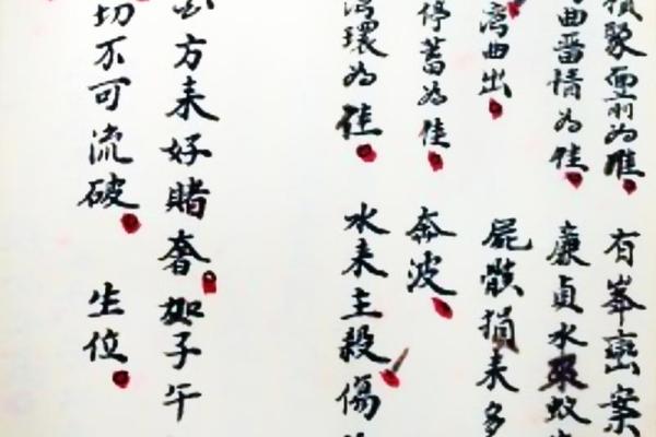 赖布衣风水秘术：揭秘古代大师的神奇布局
