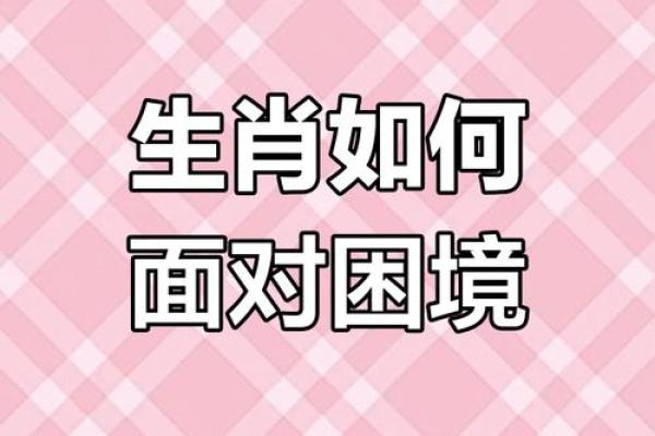 生肖运势揭秘：揭秘口臭生肖，轻松摆脱尴尬困境
