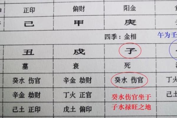 如何通过状元的八字解析成功秘诀