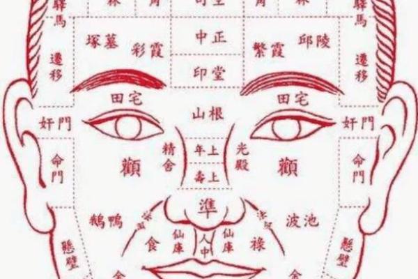 揭秘天真鼻面相：揭秘你的财运与福运