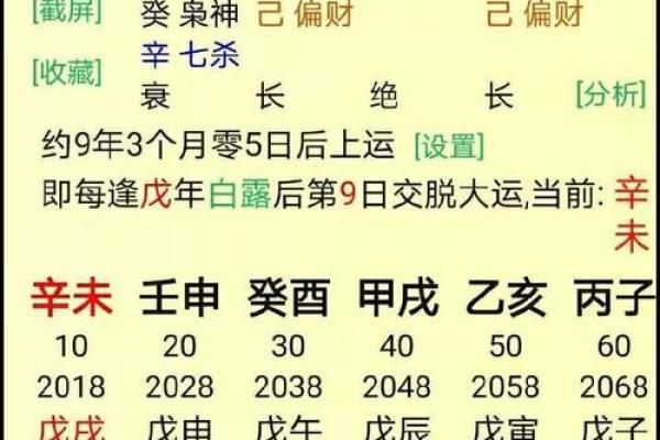 天干太阳揭秘：从命理角度看人生轨迹